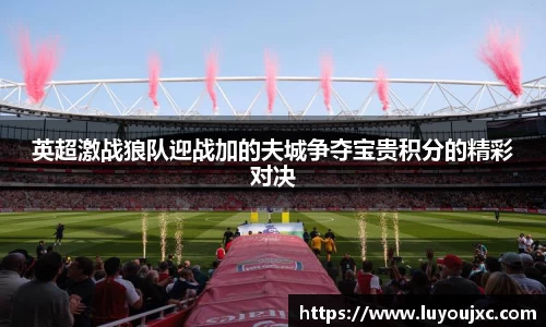 英超激战狼队迎战加的夫城争夺宝贵积分的精彩对决